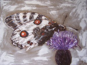 PAPILLON FLEUR DE CHARDON